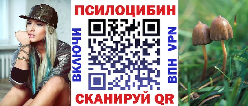 Галлюциногенные грибы Magic Shrooms  где можно купить наркотик  Нестеровская 