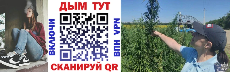 МАРИХУАНА Amnesia  где купить наркоту  Нестеровская 